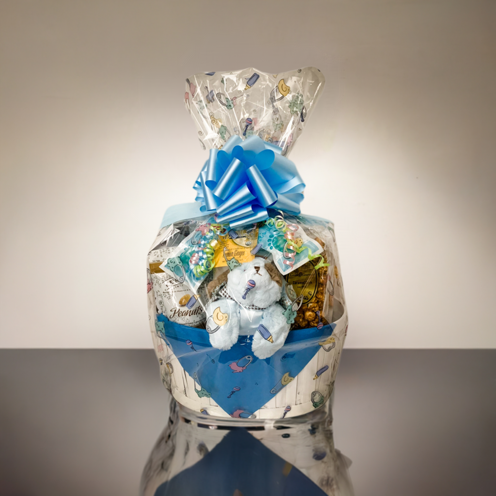 Jenny's Baby Boy Gift Basket - Large