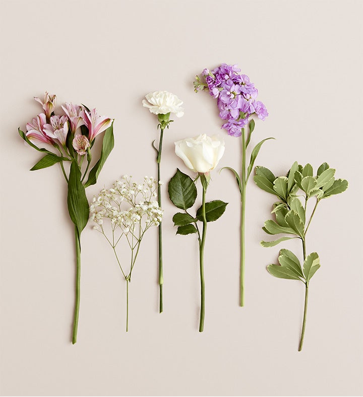 Lovely Lavender Medley
