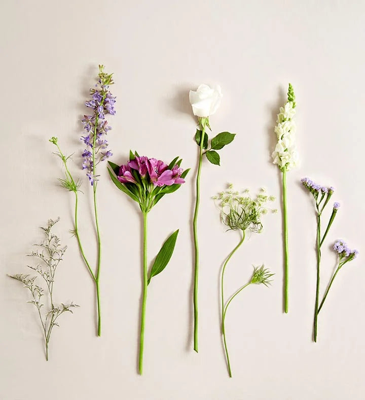 Lavender Embrace