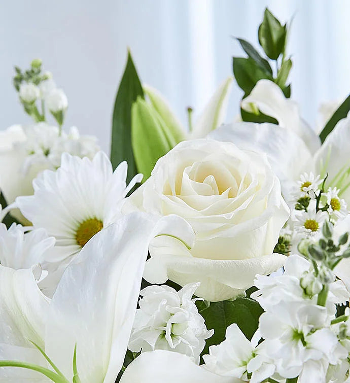 Sincerest Sorrow All White